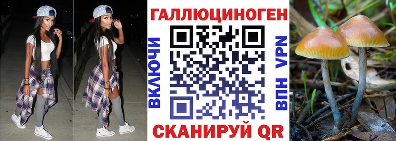 Псилоцибиновые грибы ЛСД  Купить  Лагань 